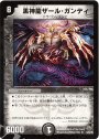 R 黒神龍ザール・ガンディ