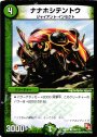C ナナホシテントウ