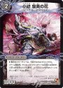 U 小結 座美の花｜雲龍 ディス・イズ・大横綱(下)