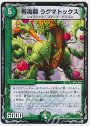 U 有毒類 ラグマトックス