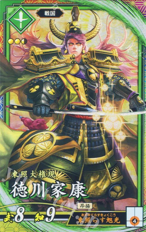 ER 徳川家康 | 販売 | 七海の彩旗 | 英傑大戦