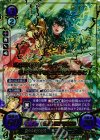  B11-002 Rプラス 聖なる雷剣の姫 エイリーク(箔押し) 