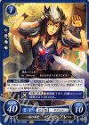  B14-028 N 一族の希望 シャンブレー 
