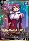  FQ01-058 P ルナマリア・ホーク 