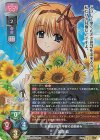 LO-5947 SR 芙蓉 楓