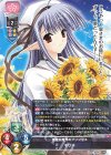 LO-5997 R ネリネ