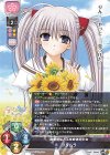 LO-5998 R プリムラ