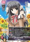  LO-6064 P 八重 桜 