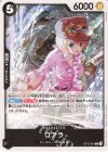  OP13-081 C コアラ 