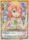 01-067 SR 陽夏木 ミカン