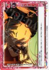 01-102 C 本当に欲しかった一票