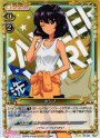 P-UC ホシノ
