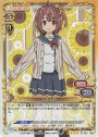 SR ひまわり