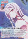 SP コスモス(サイン入り)