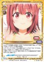 ST ひまわり