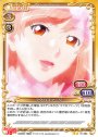 N マクロファージ