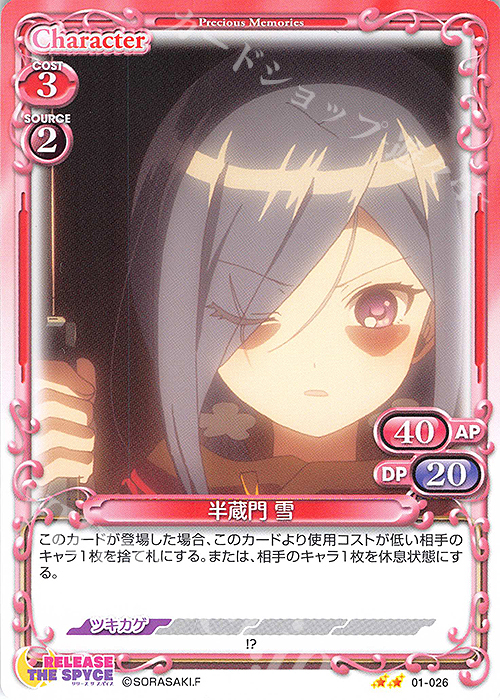 N 半蔵門 雪 | 販売 | RELEASE THE SPYCE | プレシャスメモリーズ