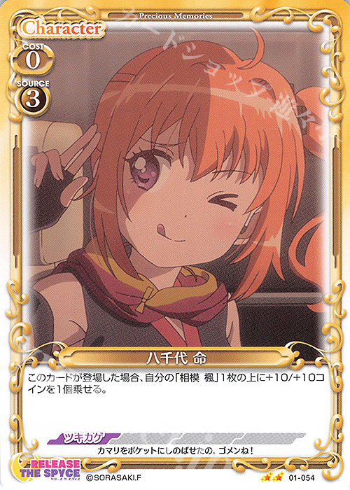 N 八千代 命 | 販売 | RELEASE THE SPYCE | プレシャスメモリーズ