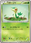 001/053 C ツタージャ