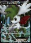 053/052 SR シェイミEX