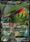 077/076 SR ビリジオンEX