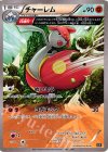 060/171 - チャーレム