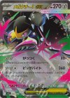 046/063 RR メガクチートex