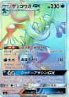 103/094 HR ゲッコウガGX(通常版:表面加工あり)