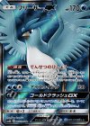  067/066 SR フリーザーGX 
