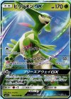 【傷】ビリジオンGX