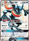  216/150 SSR ゲッコウガGX 