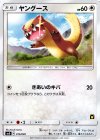 015/026 TD ヤングース
