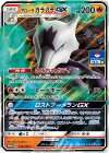  252/SM-P PROMO アローラガラガラGX 