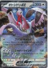  051/062 RR オトシドリex 