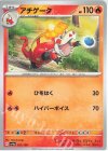  031/190 - アチゲータ 