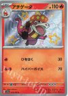  216/190 S アチゲータ 