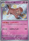  267/190 S バウッツェル 