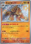  285/190 S キョジオーン 