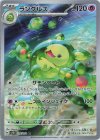  075/071 AR ランクルス 