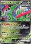  016/071 RR テツノイサハex 