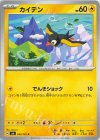  043/101 C カイデン 