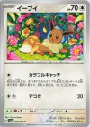  050/064 C イーブイ 