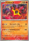  015/102 C バクガメス 