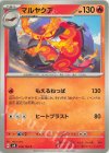  016/106 C マルヤクデ 