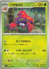  005/100 C パラセクト 