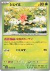  006/063 U シェイミ 