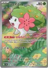  066/063 AR シェイミ 