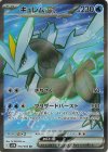 160/086 SR キュレムex