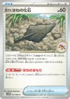 081/086 C 古びたはねの化石