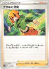 041/053 - ナタネの活気 